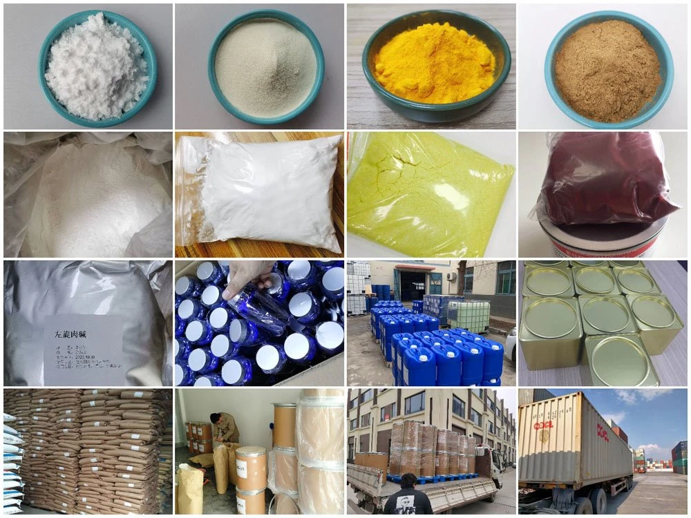 black cohosh extract wholesale
